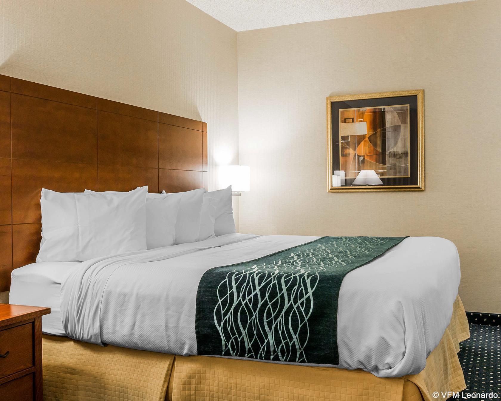 Quality Inn Auburn Hills - Detroit North Екстер'єр фото